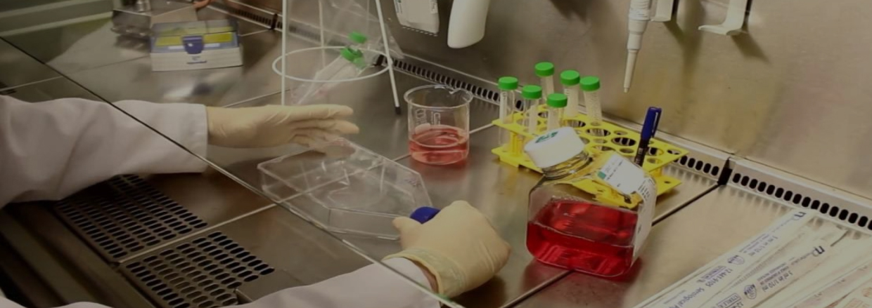 Sample preparation